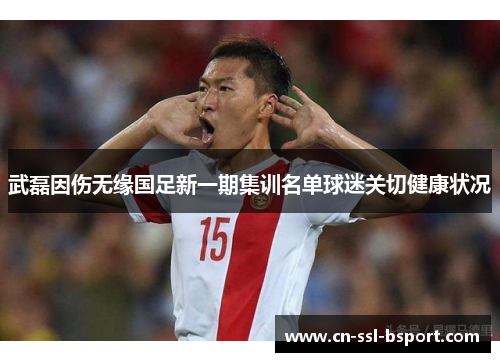 武磊因伤无缘国足新一期集训名单球迷关切健康状况